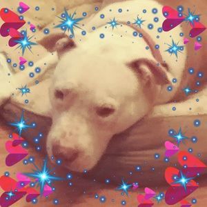 Meet your Posher, Josie